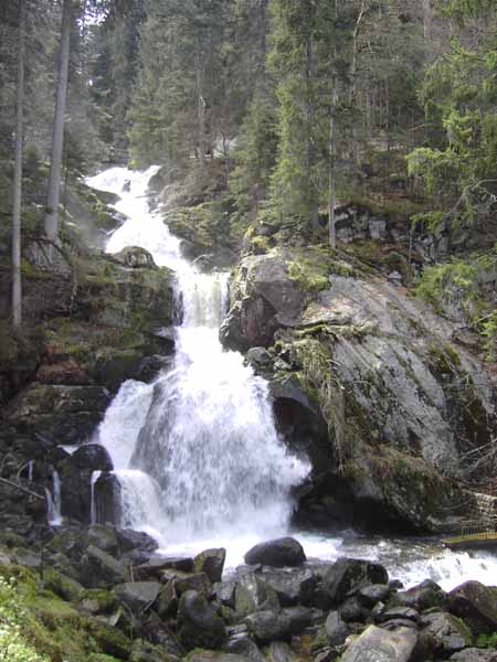 Teil des Triberger Wasserfalls