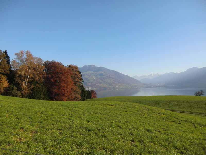 nahe Immensee am Zuger See
