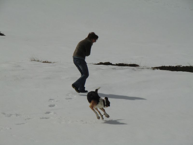 Rudi freut sich über den Schnee