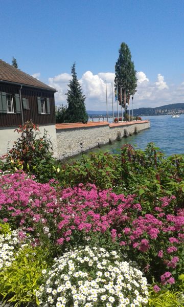 Insel im Bodensee