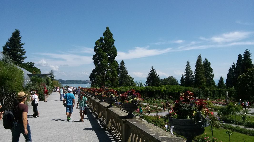 Insel im Bodensee