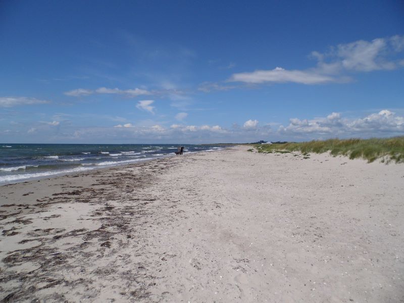 Strand in Dänemark