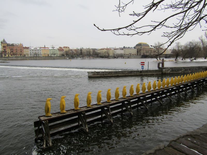 Moldau in Prag