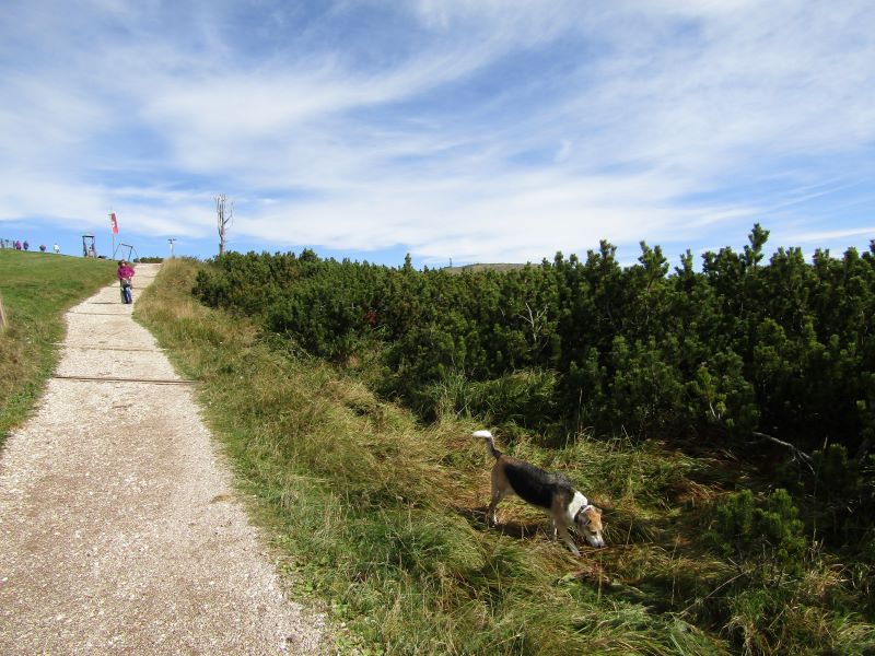 Spazierweg rund um die Schwarzseespitze