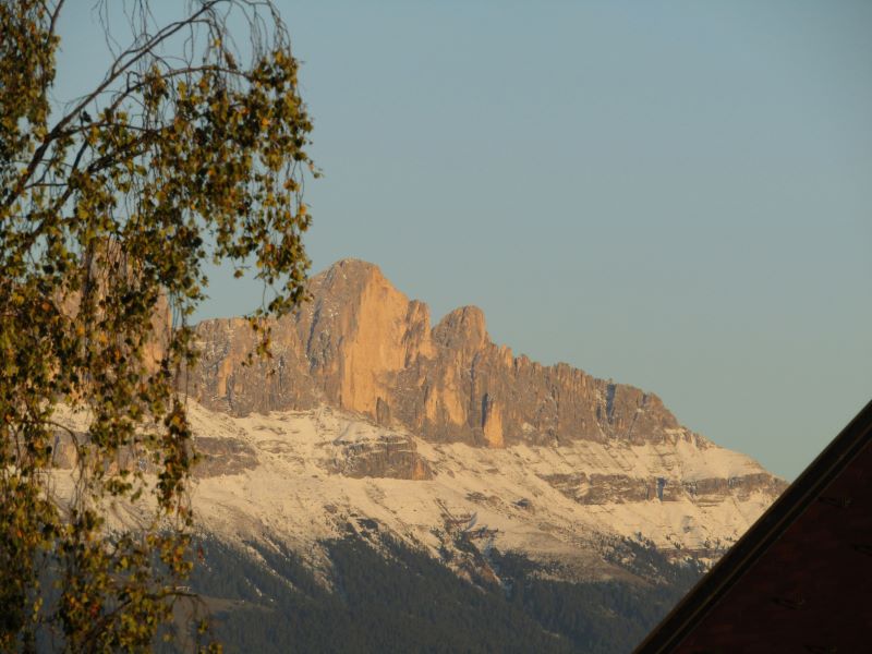 Teil des Rosengartens im Abendlicht