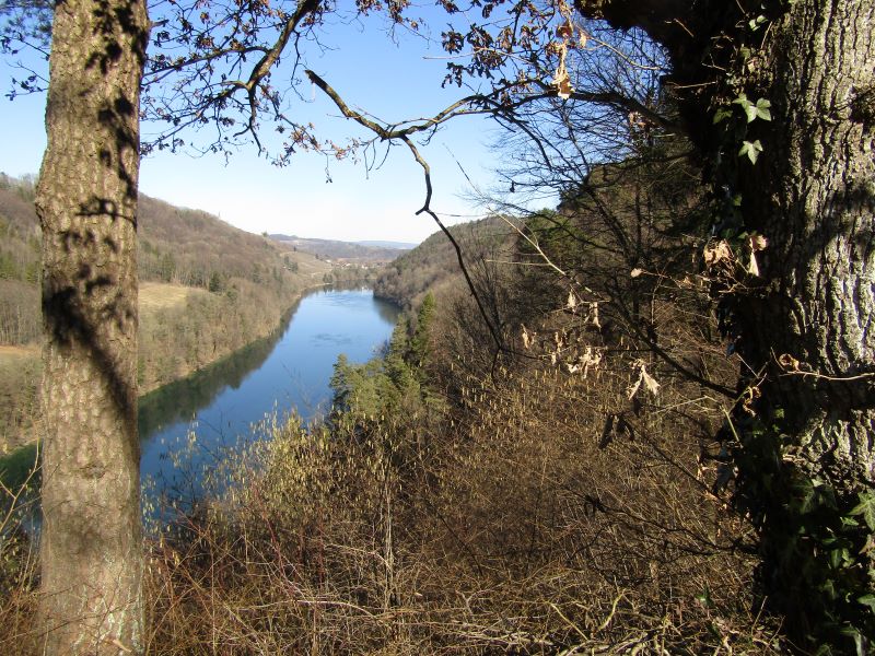 Hochrhein unterhalb Schaffhausen