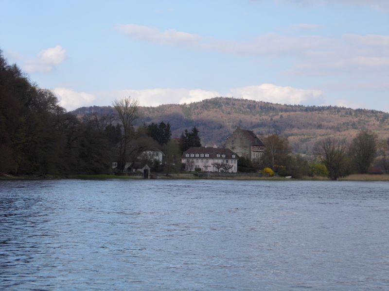 auf dem Hochrhein bei der Bibermündung