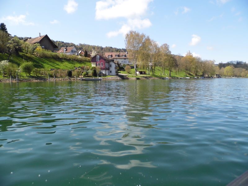 Schweizer Ufer zw. Büsingen und Schaffhausen