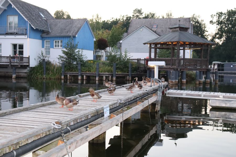 Marina in Wolfsbruch am Abend