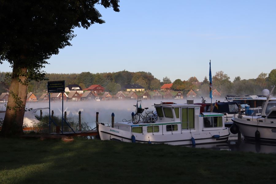 Morgenstimmung mit Bodennebel in Mirow