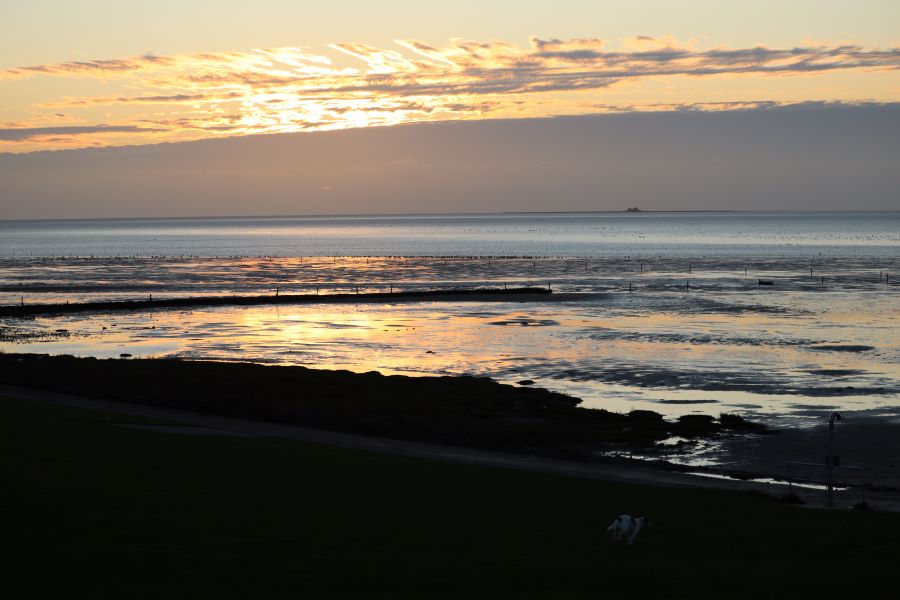 Hallig Südfall am Abend