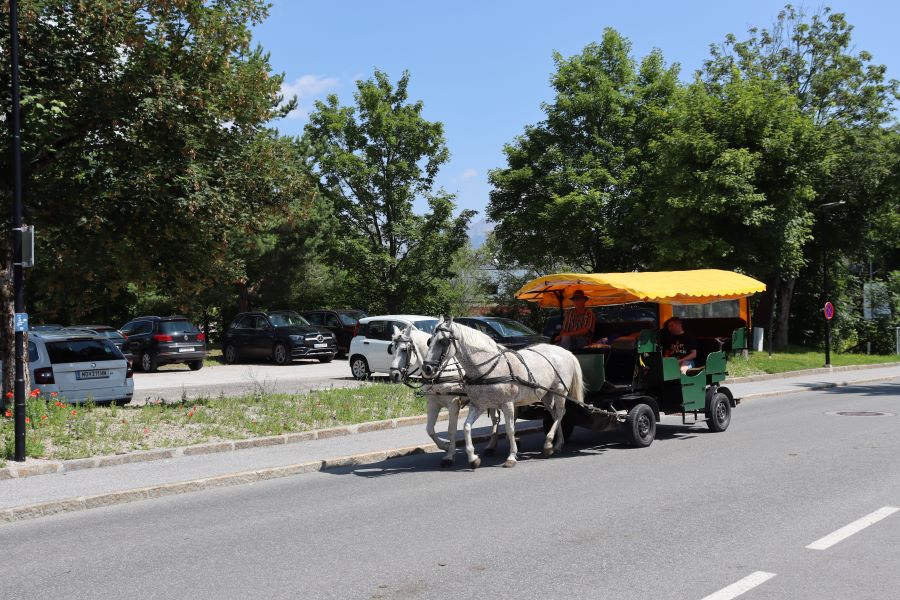 Kutschrundfahrt in Seefeld