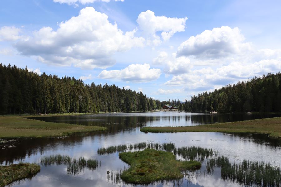 Großer Arbersee