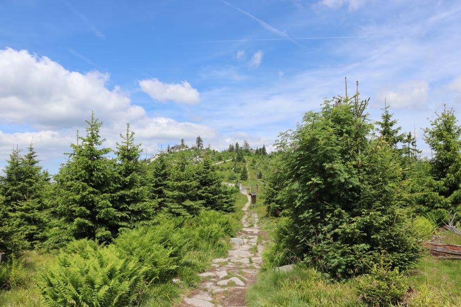 der Weg zum Dreiländereck