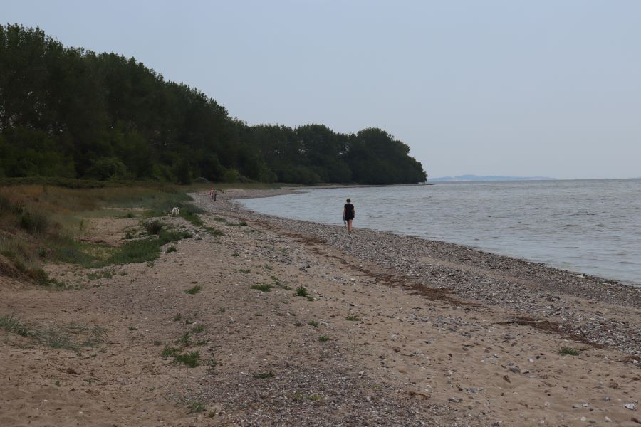 Strand am Strelasund