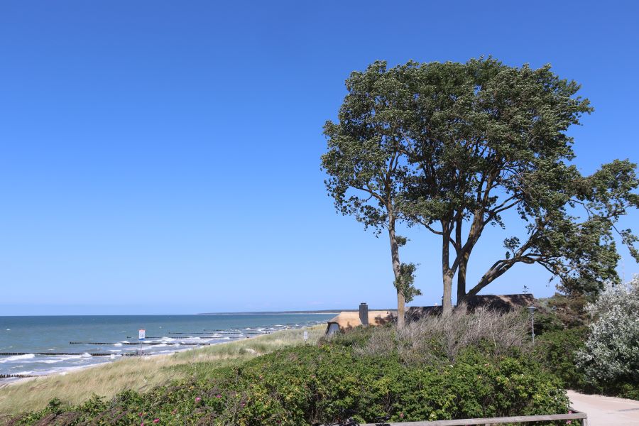 Strand bei Ahrenshoop