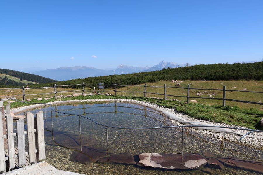 kleiner Teich auf der Schwarzseespitze